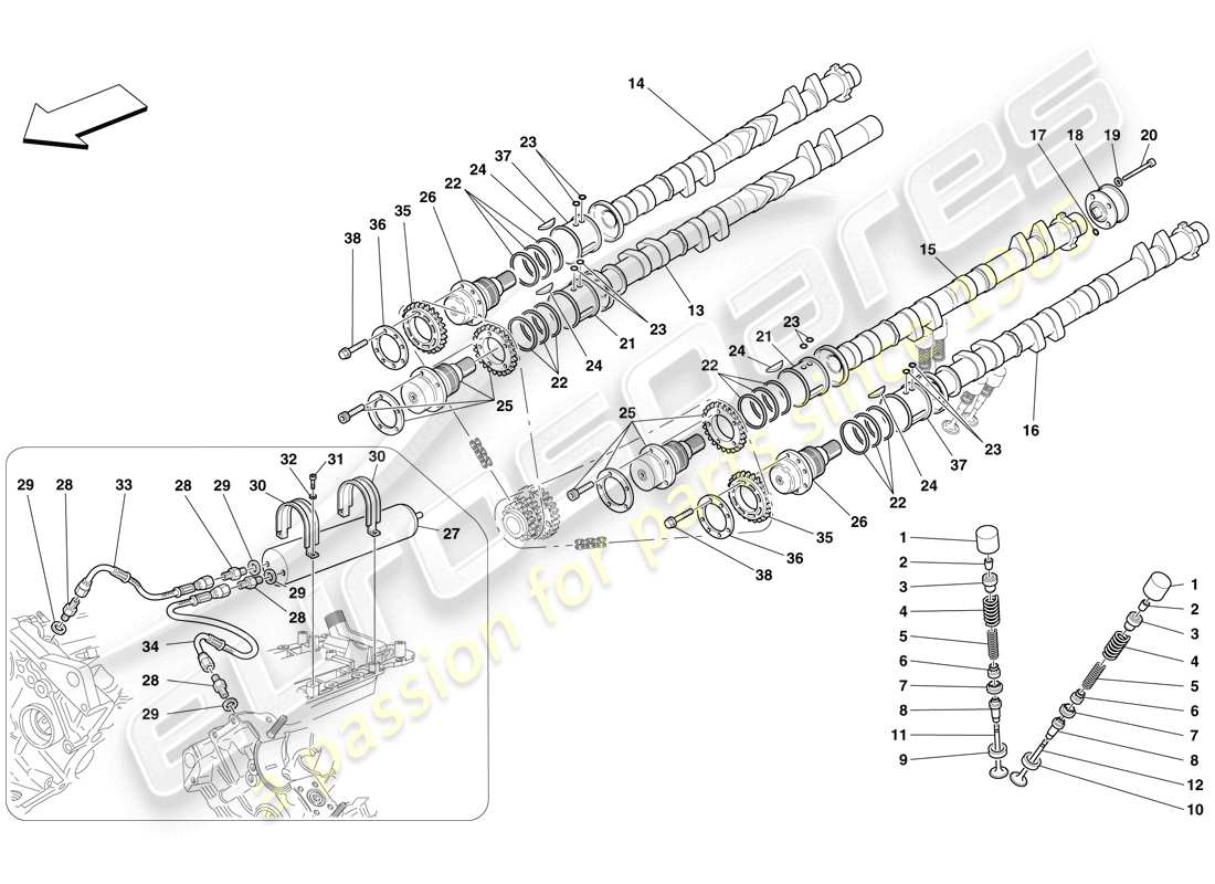 ferrari f430 scuderia (usa) timing system - tappets parts diagram