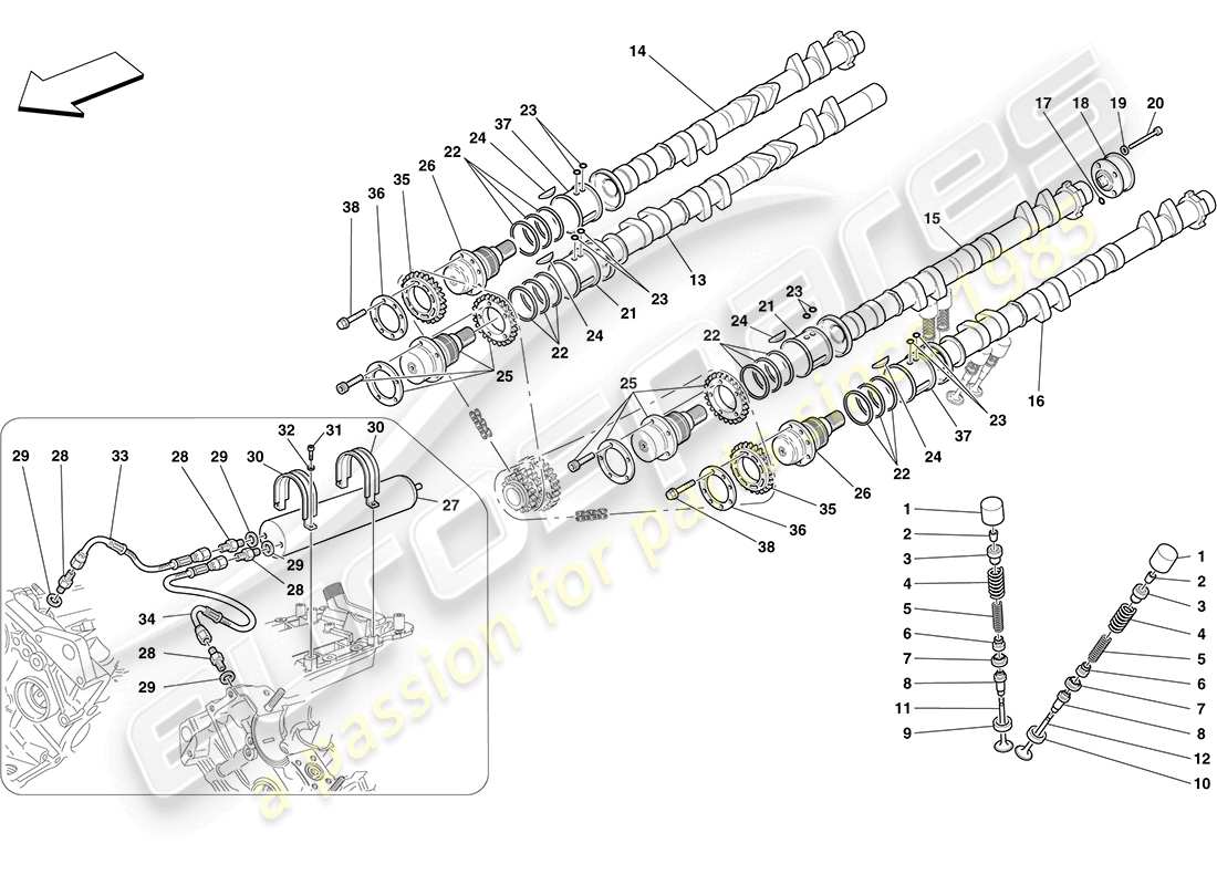 ferrari f430 coupe (rhd) timing system - tappets part diagram