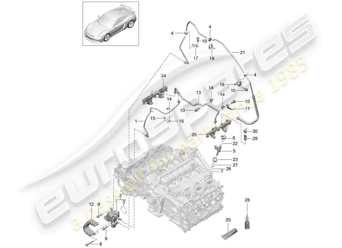 porsche 2016 (981 cayman gt4) fuel collection pipe part diagram