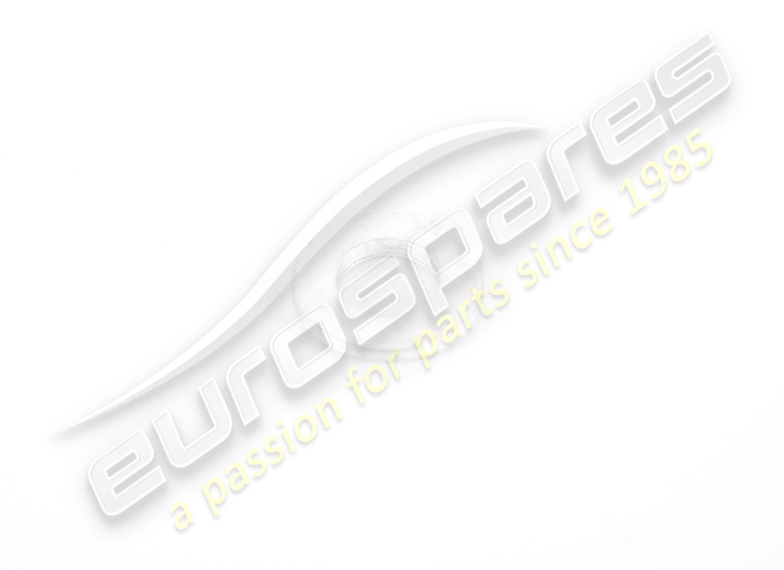 new ferrari washer. part number 10730514 (1)