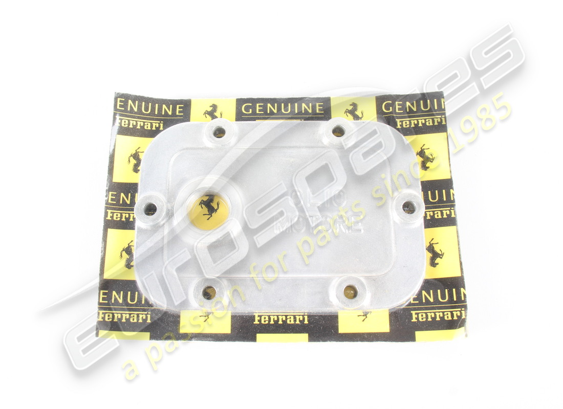 new ferrari lower cover. part number 171045 (1)