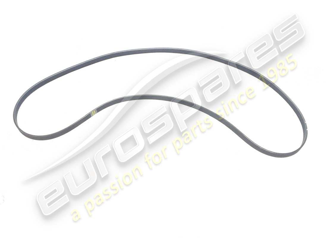 new maserati belt. part number 243857 (1)