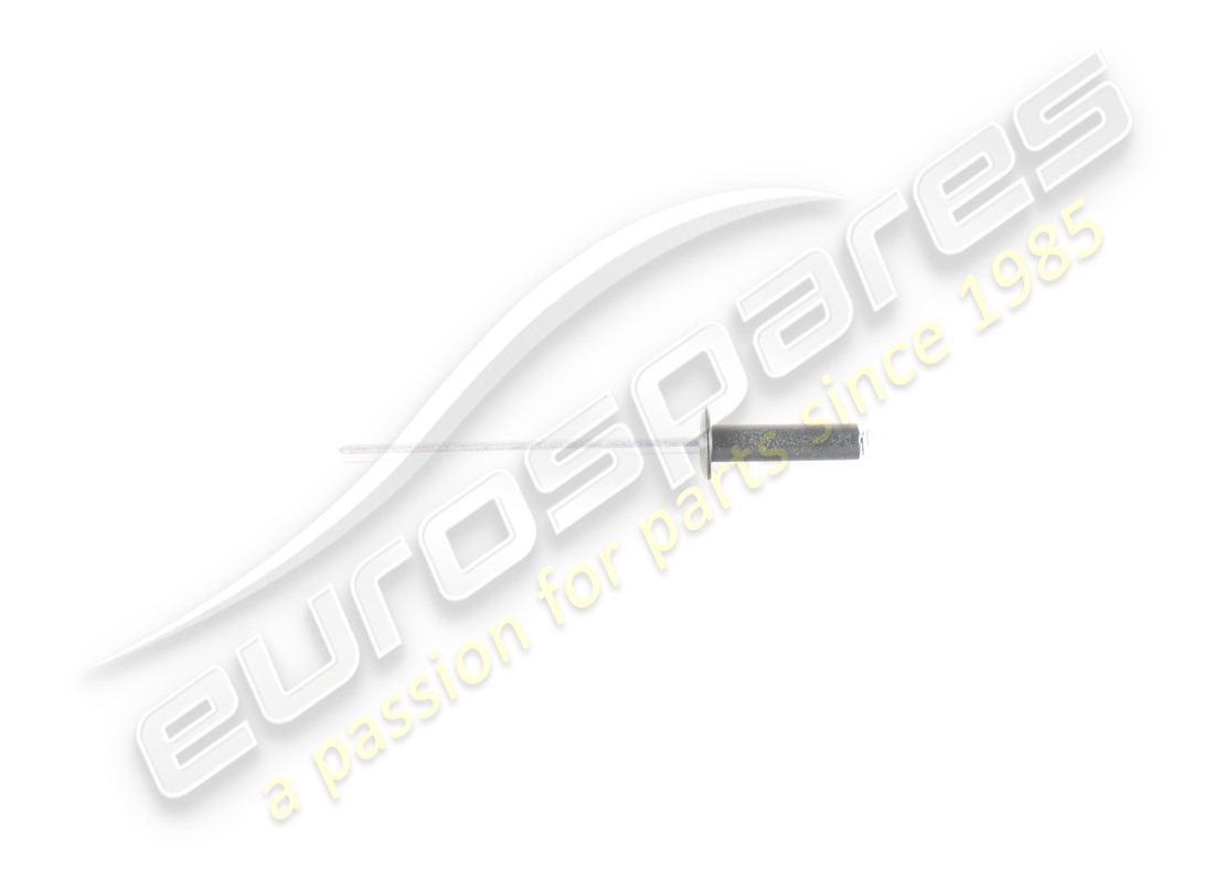 new ferrari rivet. part number 14641593 (1)