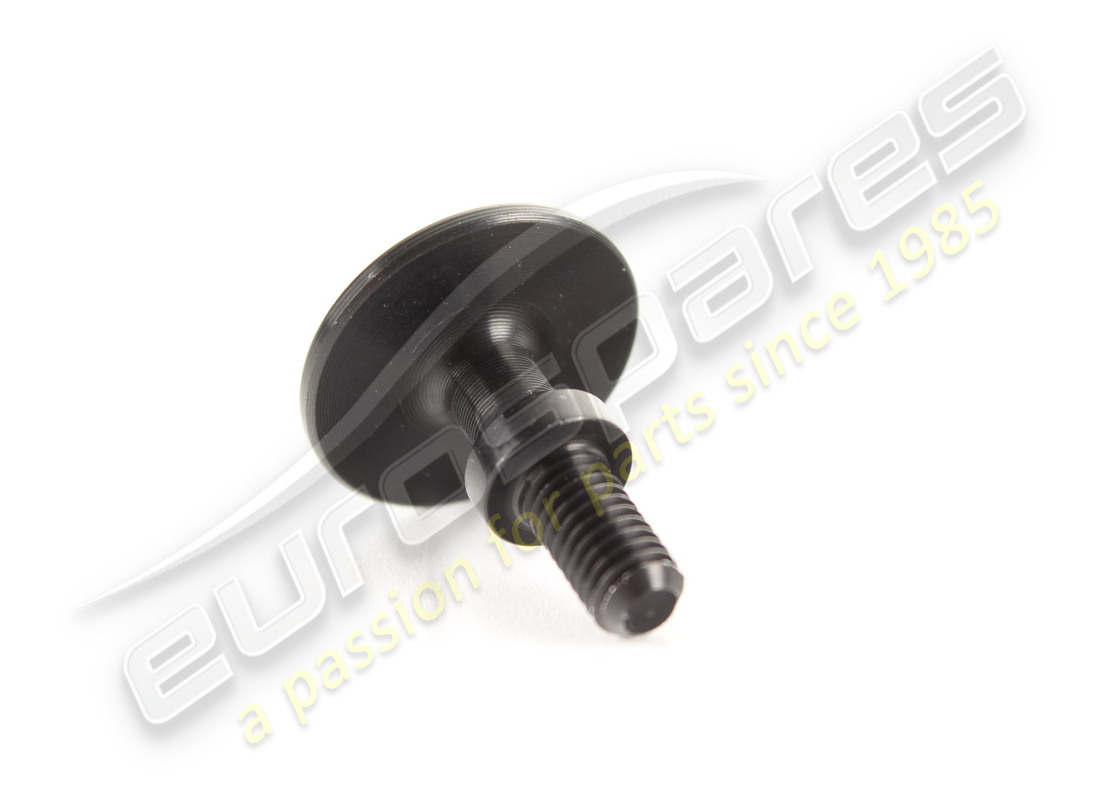 new ferrari screw. part number 67509600 (2)