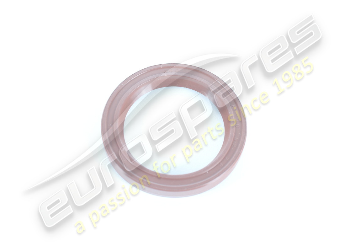 new ferrari gasket. part number 170894 (1)