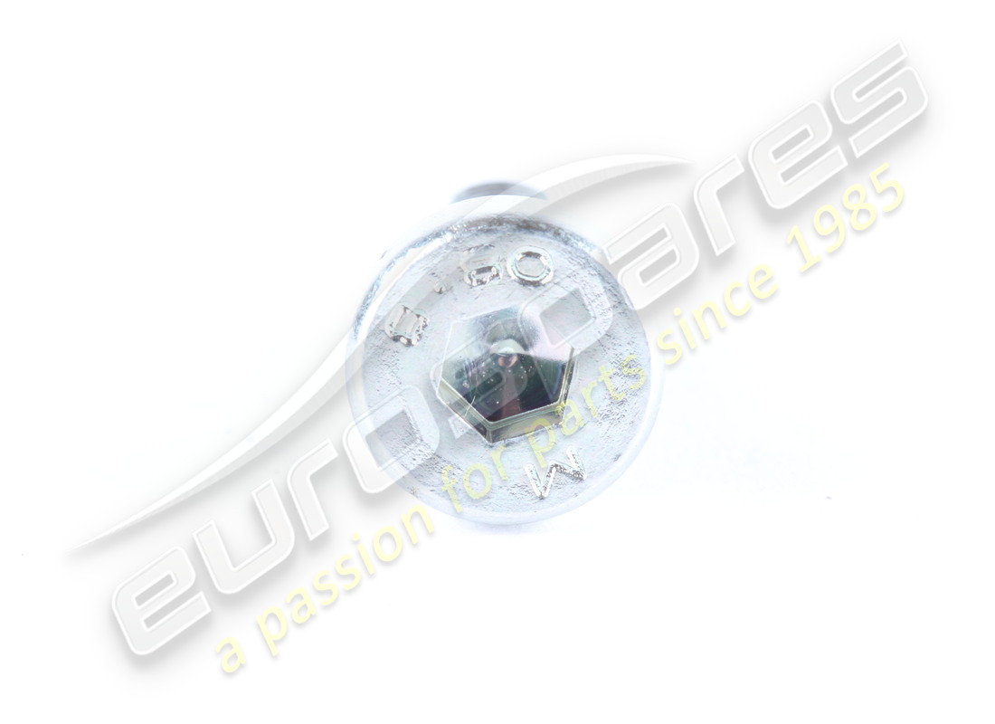 new ferrari screw. part number 40294308 (2)