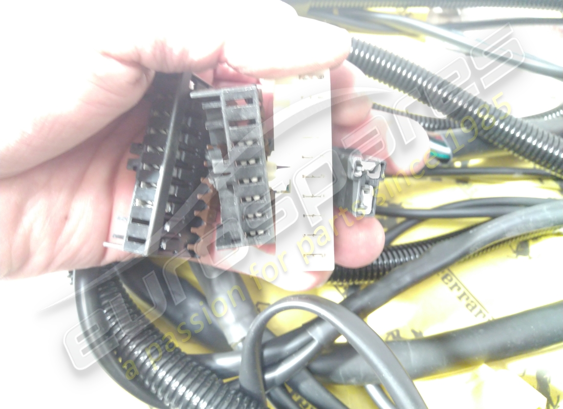 used ferrari front side cable. part number 172955 (2)