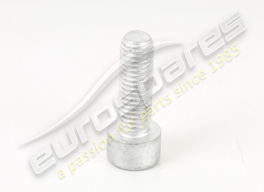 new ferrari screw. part number 14306424 (2)