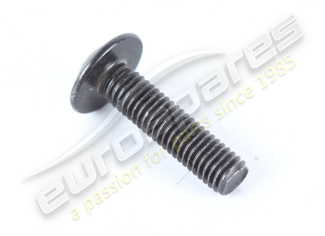 new ferrari screw. part number 85692300 (1)