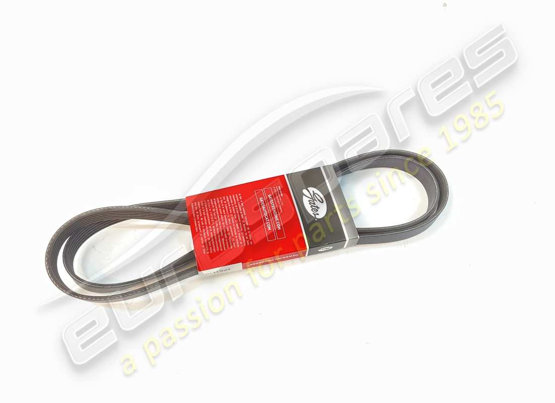 new eurospares belt (alterntor/compressor). part number 97965 (1)