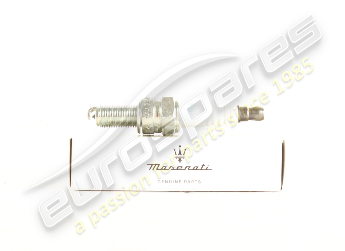 new maserati spark plug (ngk). part number 192637 (1)