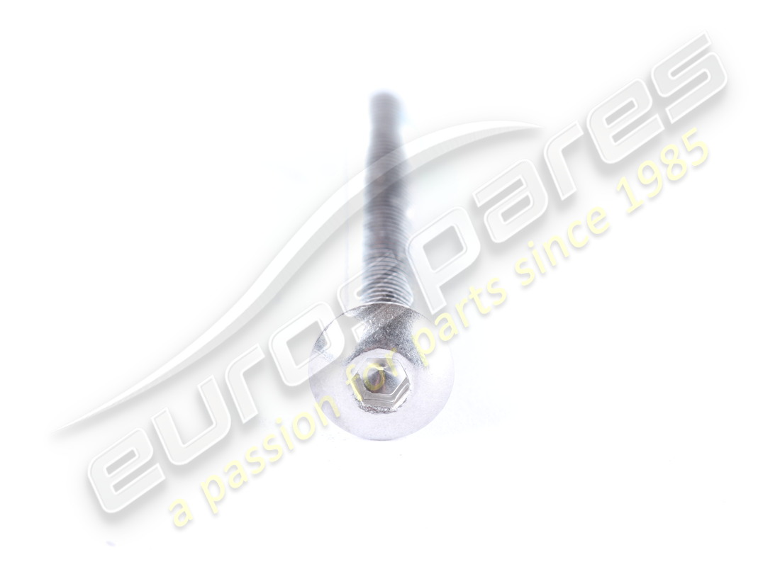 new ferrari screw. part number 66076300a (2)