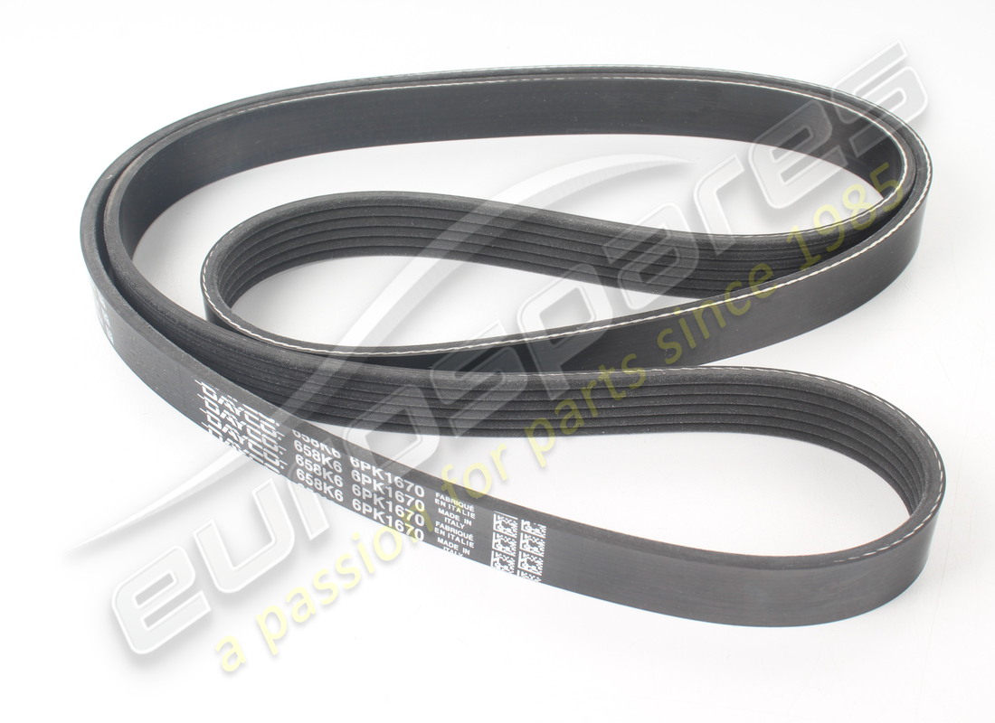 NEW Maserati BELT (ALTERNTOR/COMPRESSOR) . PART NUMBER 97965 (1)