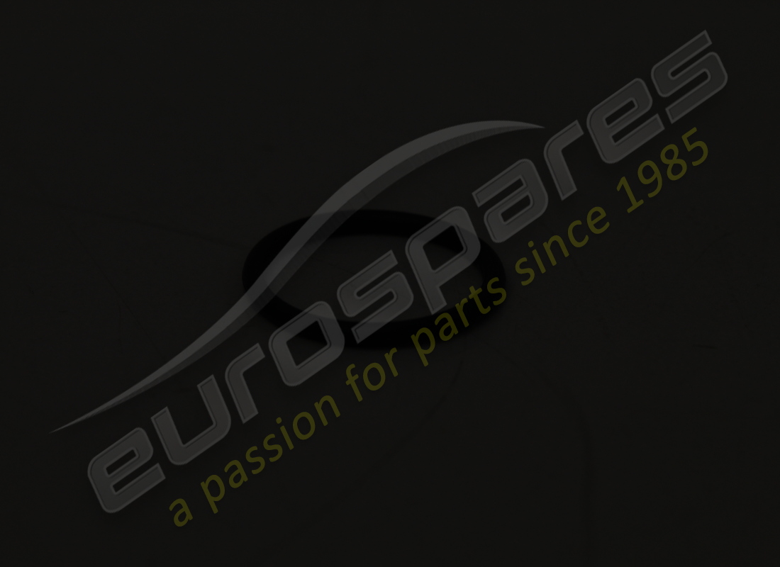 new lamborghini ring 17 mm or. part number 008601701 (1)