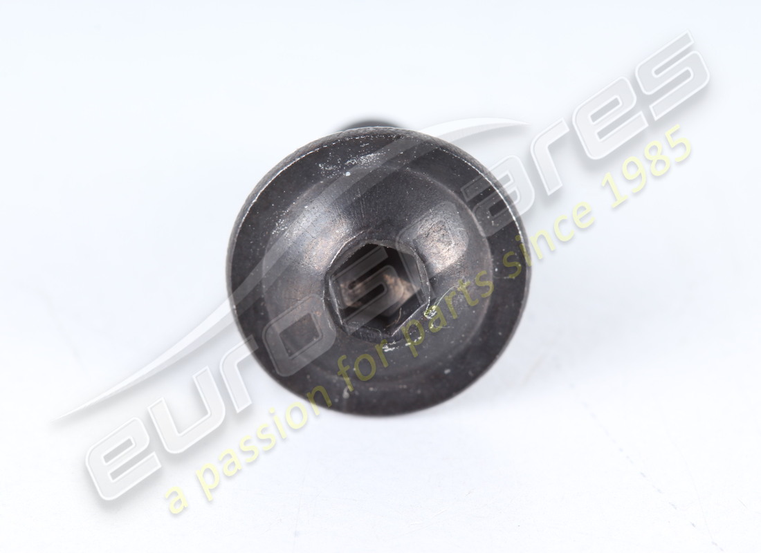 new ferrari screw. part number 169813 (2)