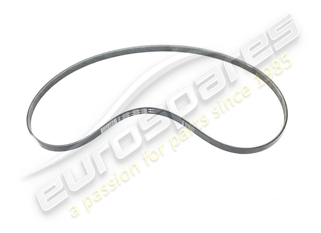 new maserati auxiliary belt. part number 239616 (1)