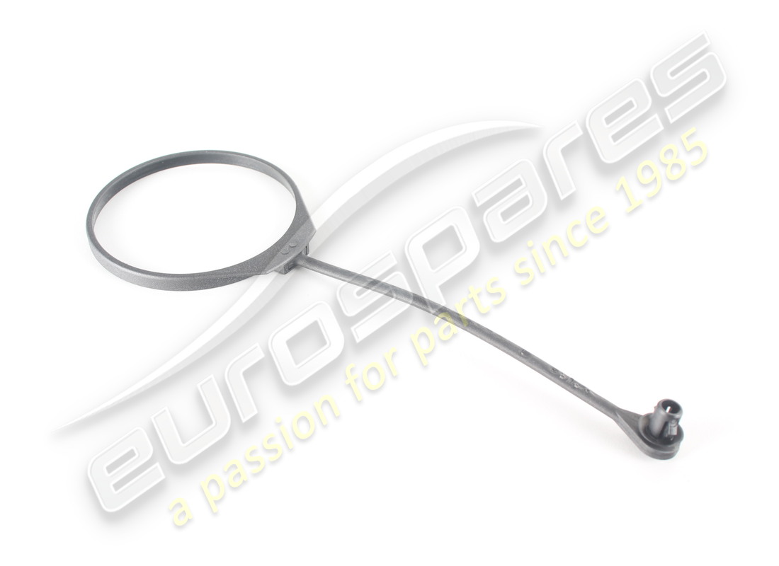 new ferrari ring complete for plug. part number 186866 (1)