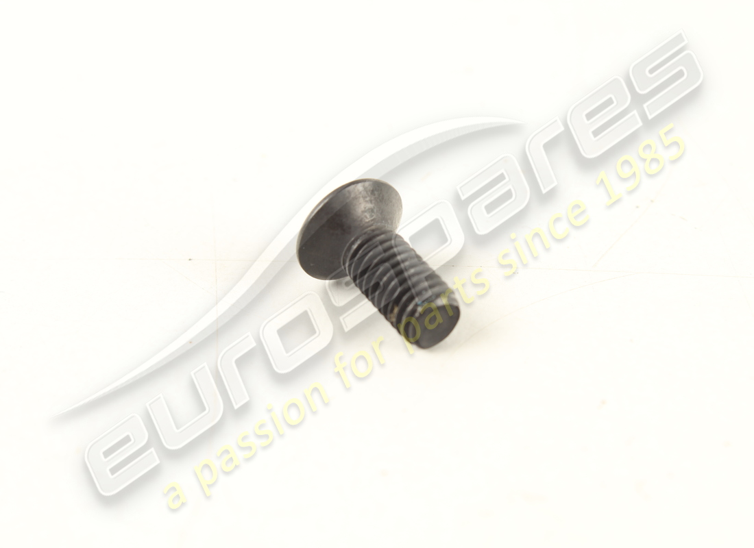 new ferrari screw. part number 13310877 (2)
