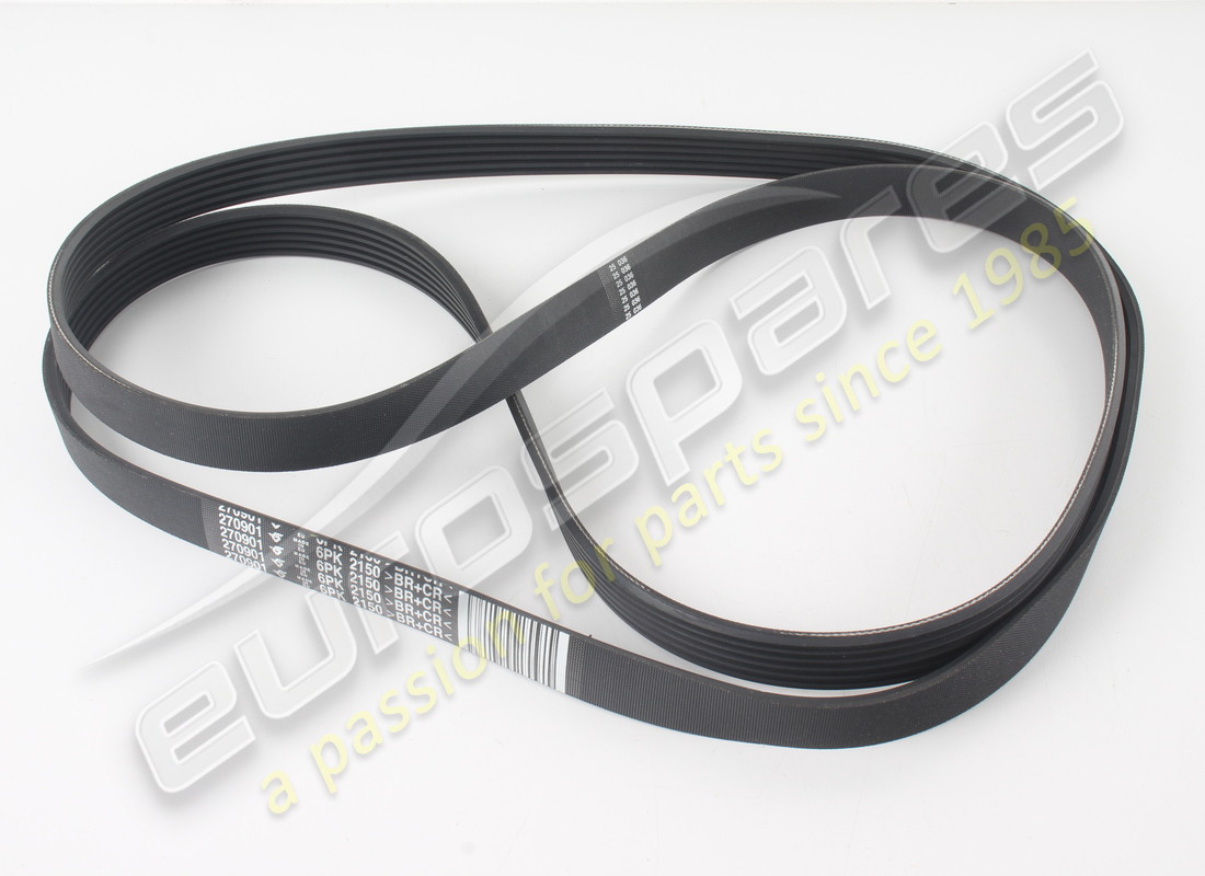 new maserati belt. part number 270901 (1)
