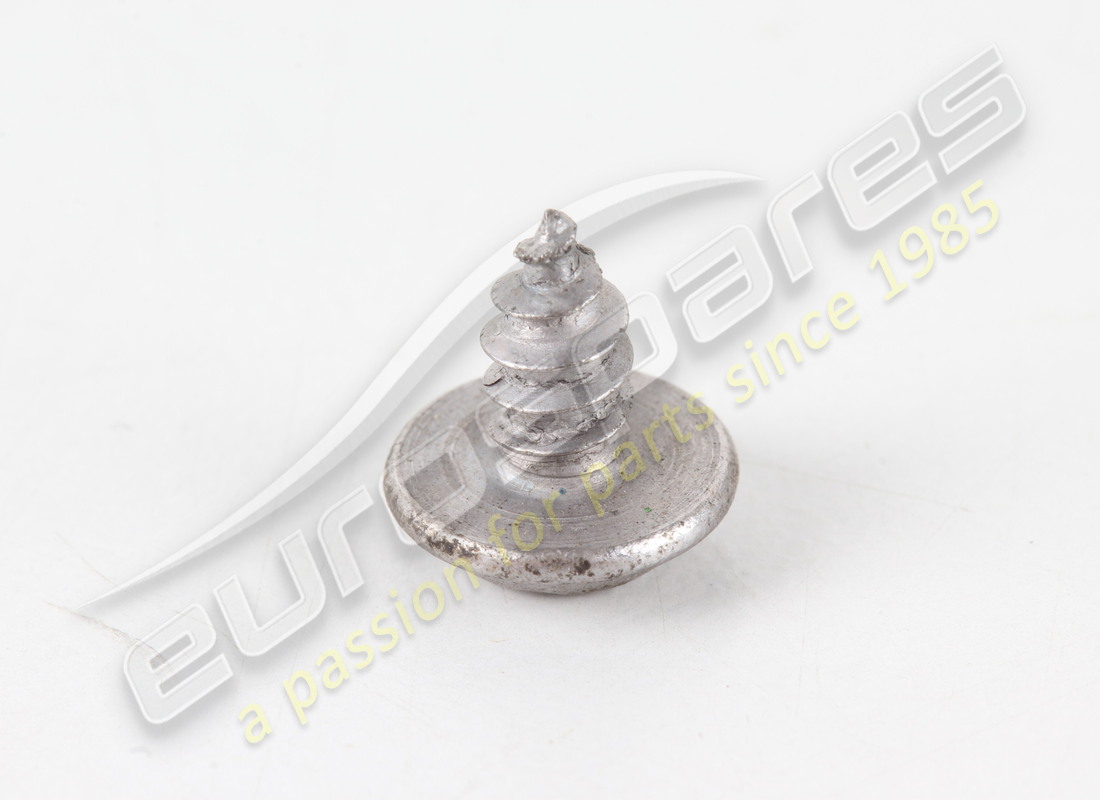 new lamborghini flange tapping screw. part number n91089801 (2)