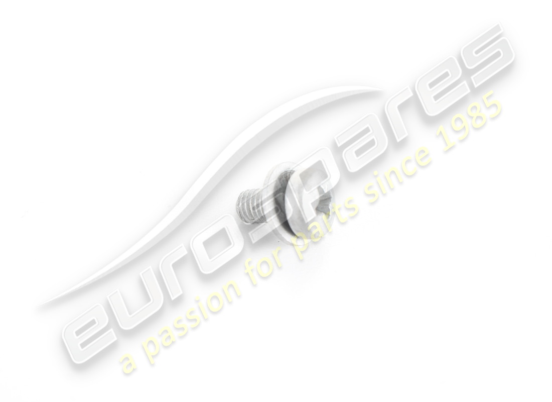 new ferrari screw -m5x 10-. part number 13287724 (1)