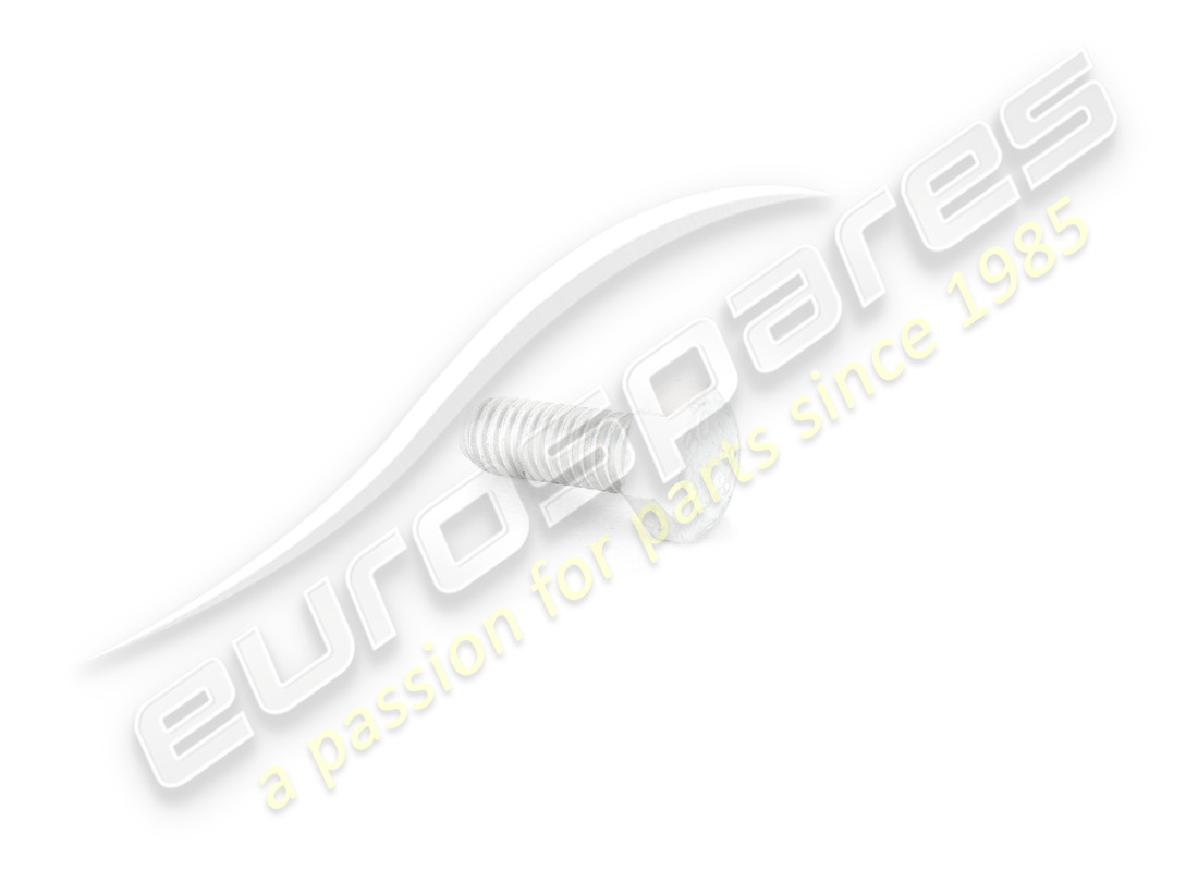 new ferrari screw. part number 10902224 (1)