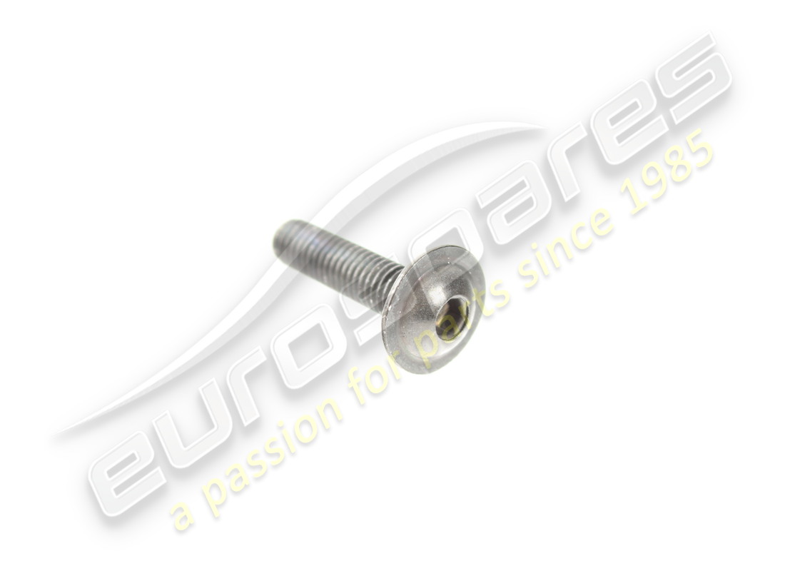 new ferrari screw. part number 68176500 (1)