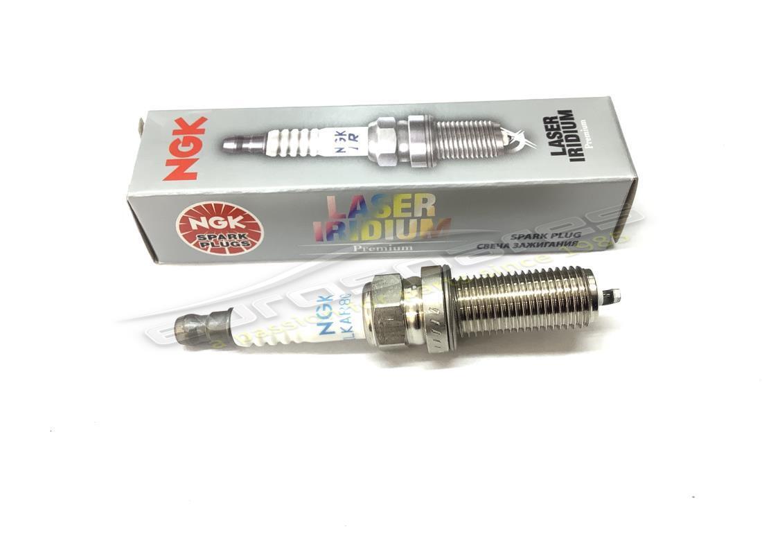 new eurospares spark plug (ngk). part number 310235 (1)