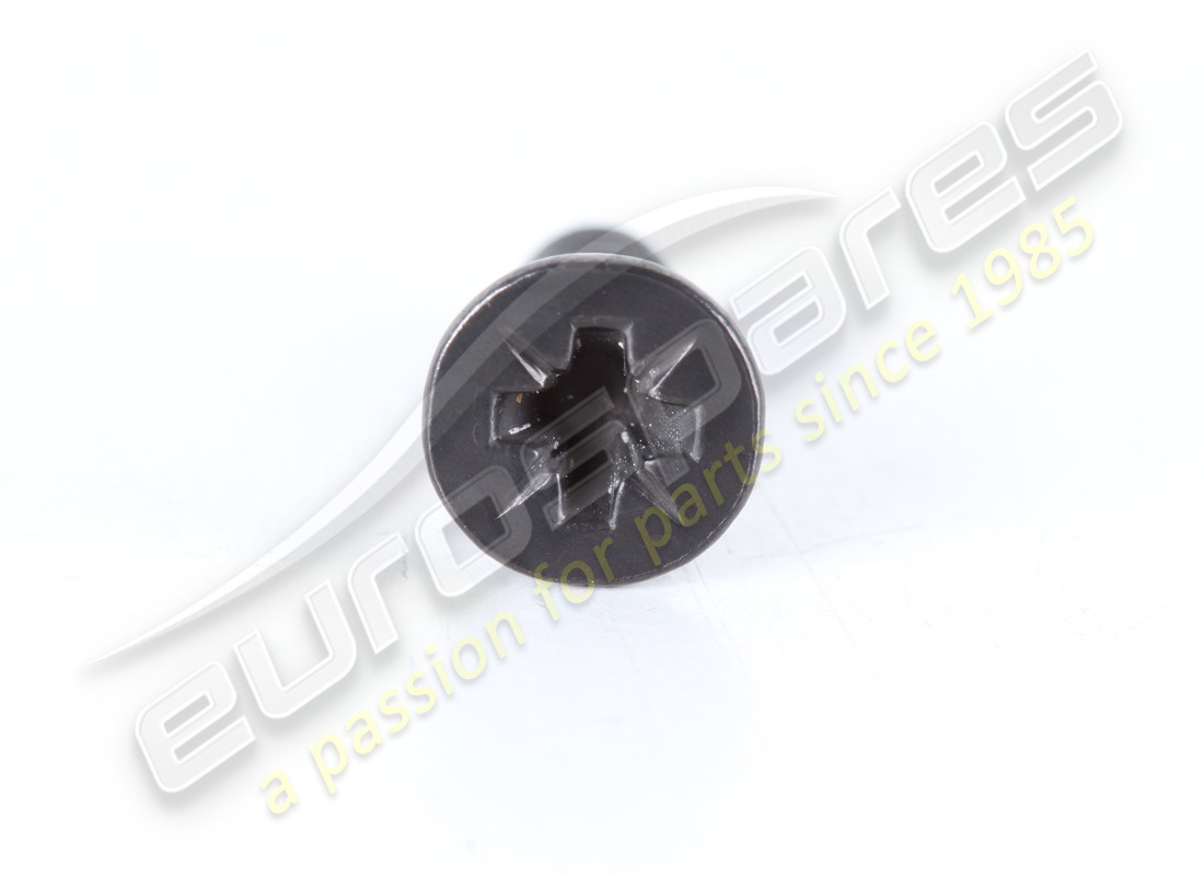 new ferrari screw. part number 15916977 (2)