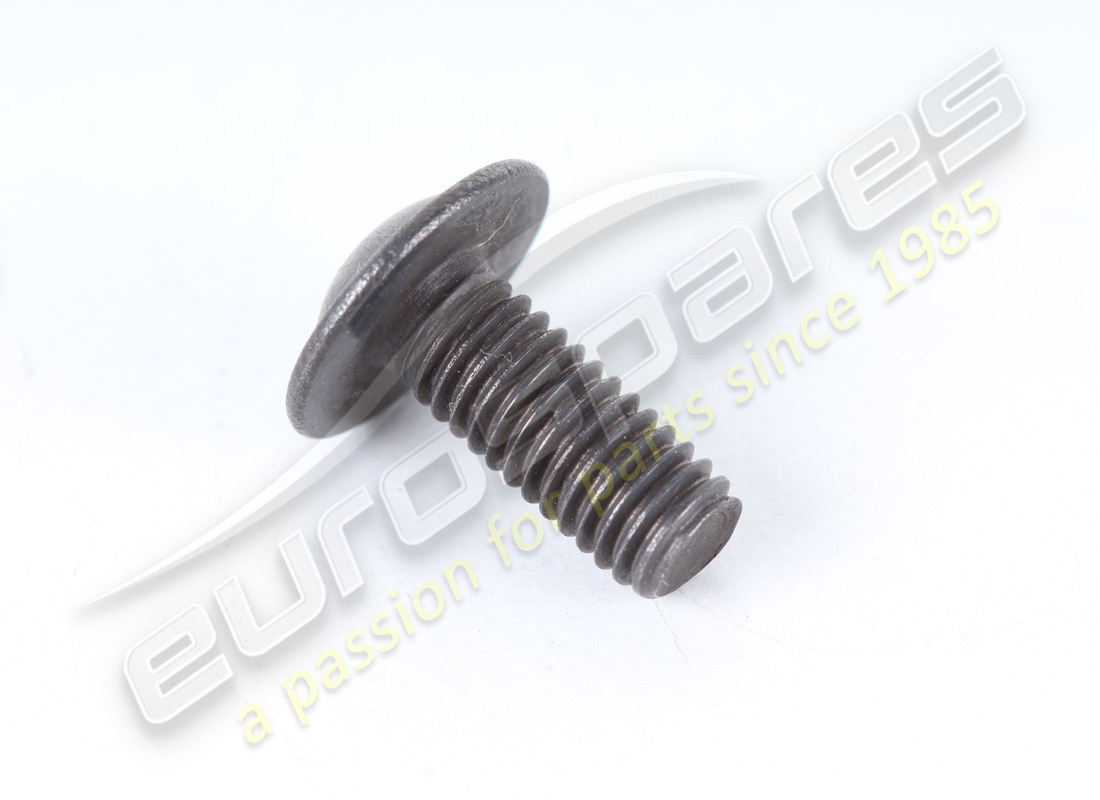new ferrari screw. part number 169813 (1)