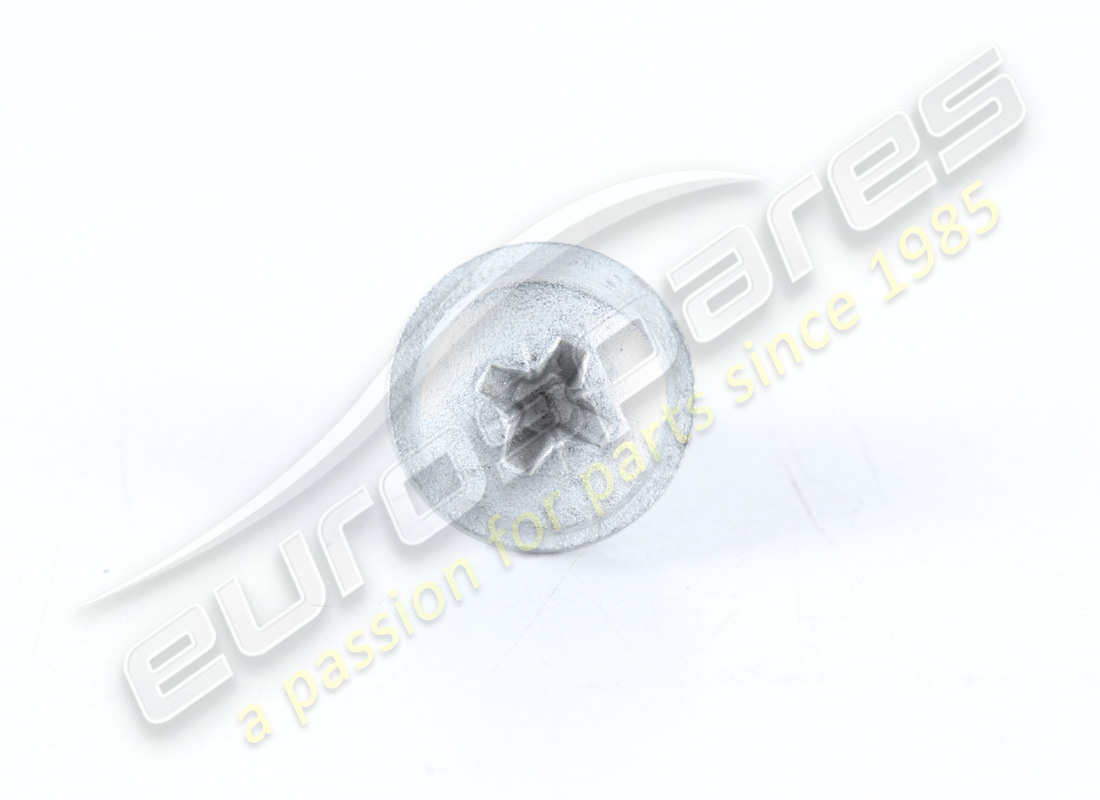 new ferrari screw -m5x 10-. part number 13287724 (2)