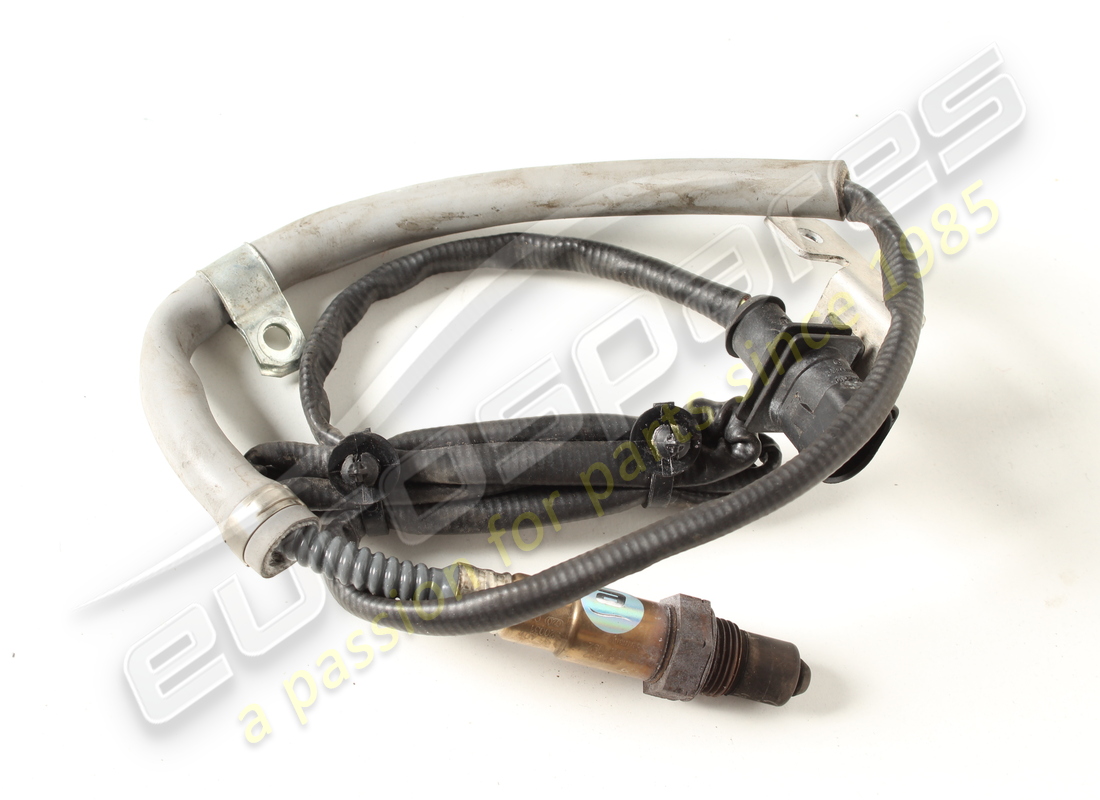 used ferrari front oxygen sensor. part number 292582 (1)