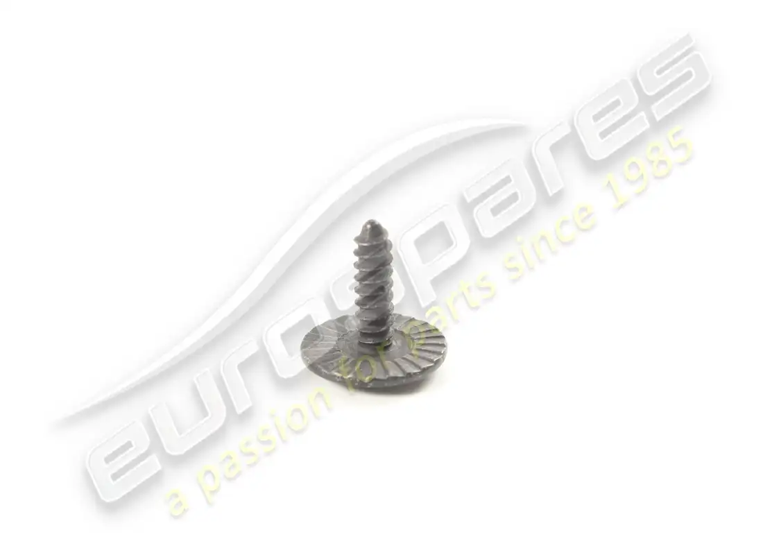 new porsche tapping screw part number 9a700769800