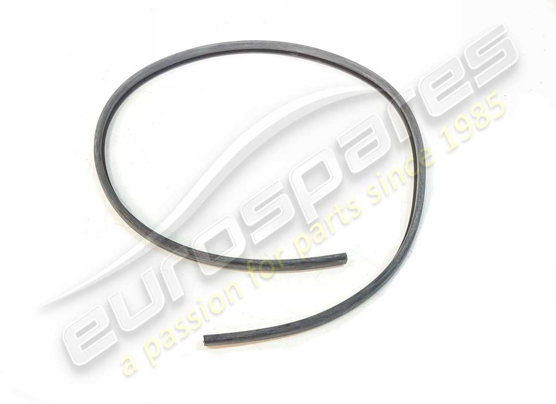 new ferrari gasket.. part number 64879700 (1)