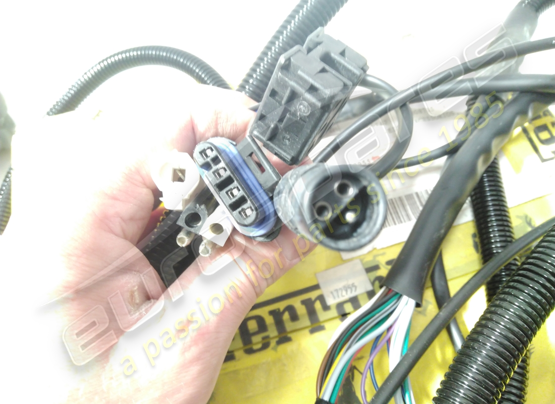 used ferrari front side cable. part number 172955 (3)