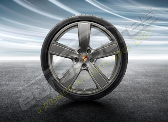 new porsche 22 inch sport classic summer wheel and tyre set - painted in platinum (satin-gloss) part number 9y0044661q