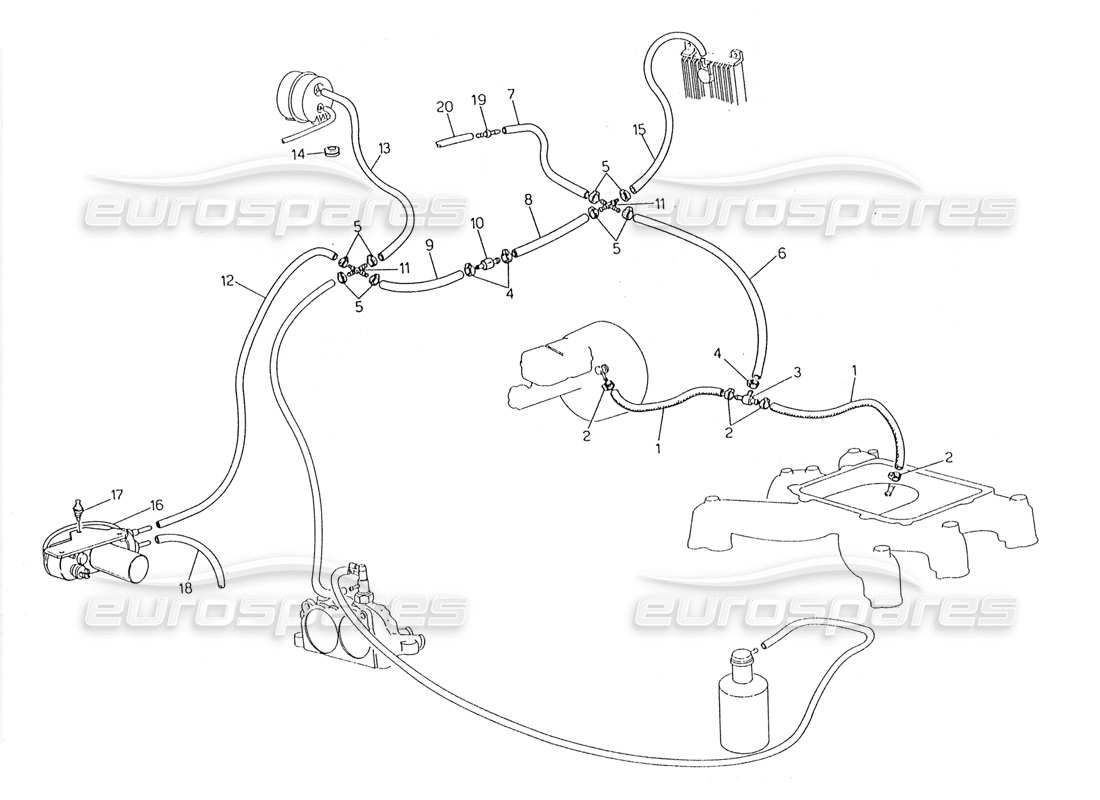 maserati 228 evaporation system (rh steering with lambda feeler) part diagram