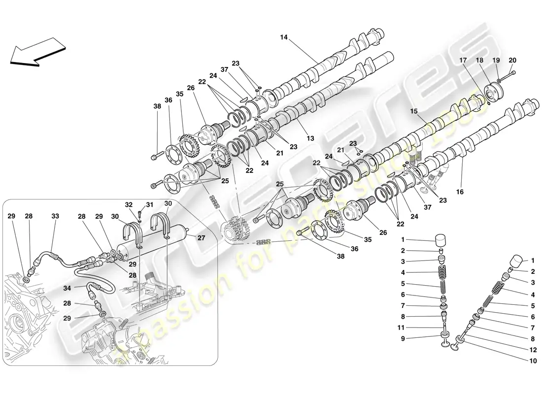 ferrari f430 spider (rhd) timing system - tappets parts diagram