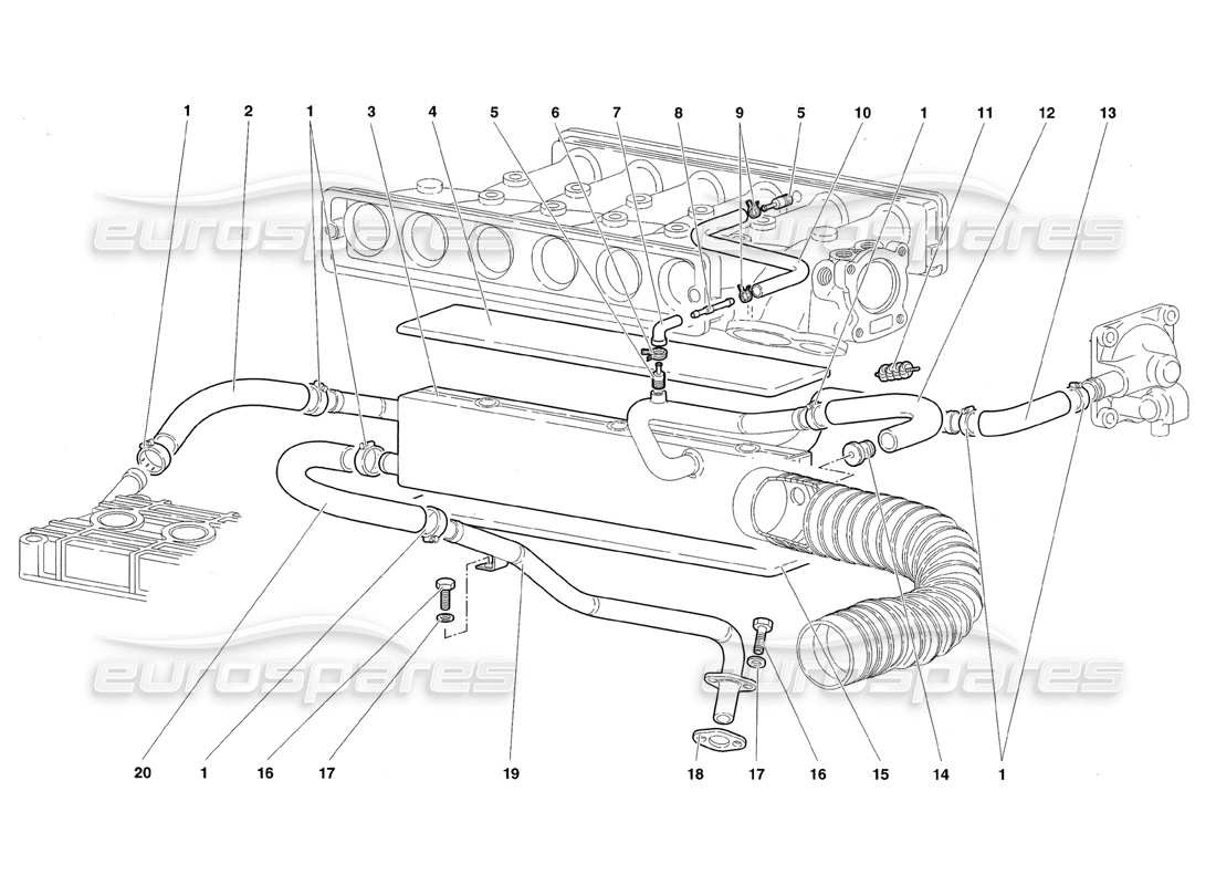 lamborghini diablo roadster (1998) engine oil breathing system parts diagram