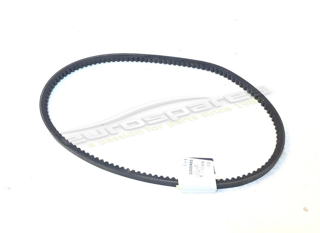 new maserati alt. belt 9.5x800. part number 313020421 (2)