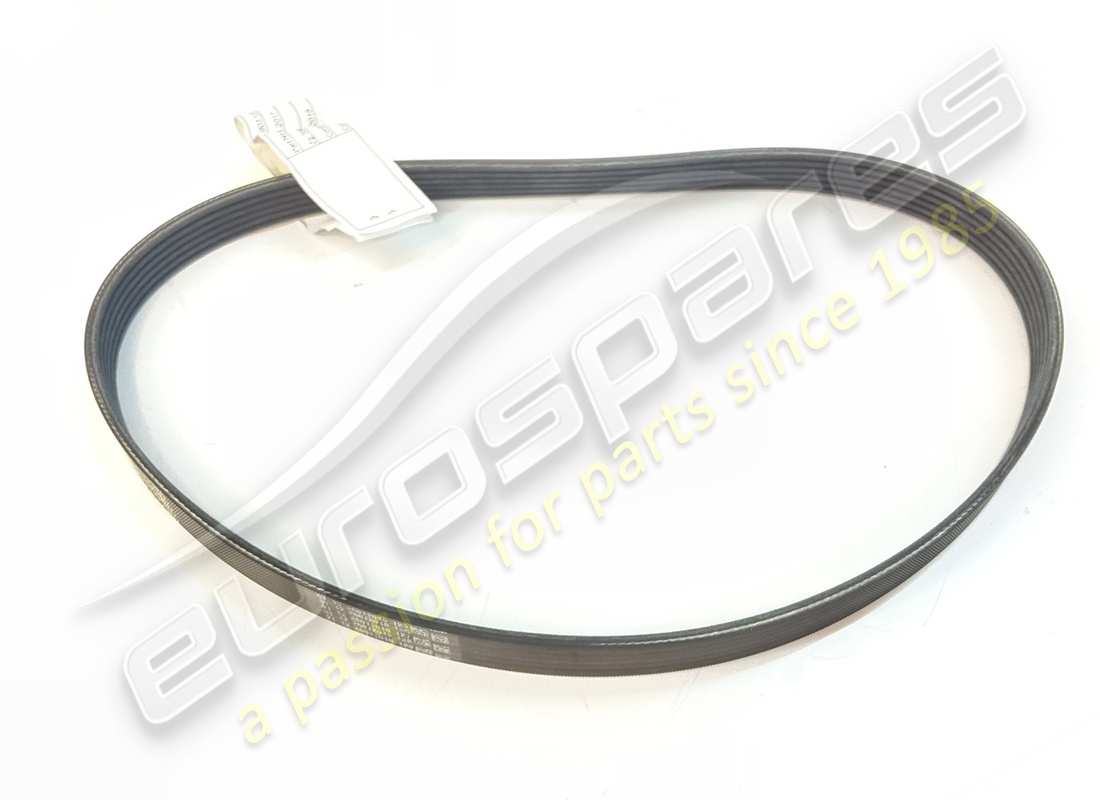 new lamborghini v-ribbed belt generator. part number 0p2903137b (1)