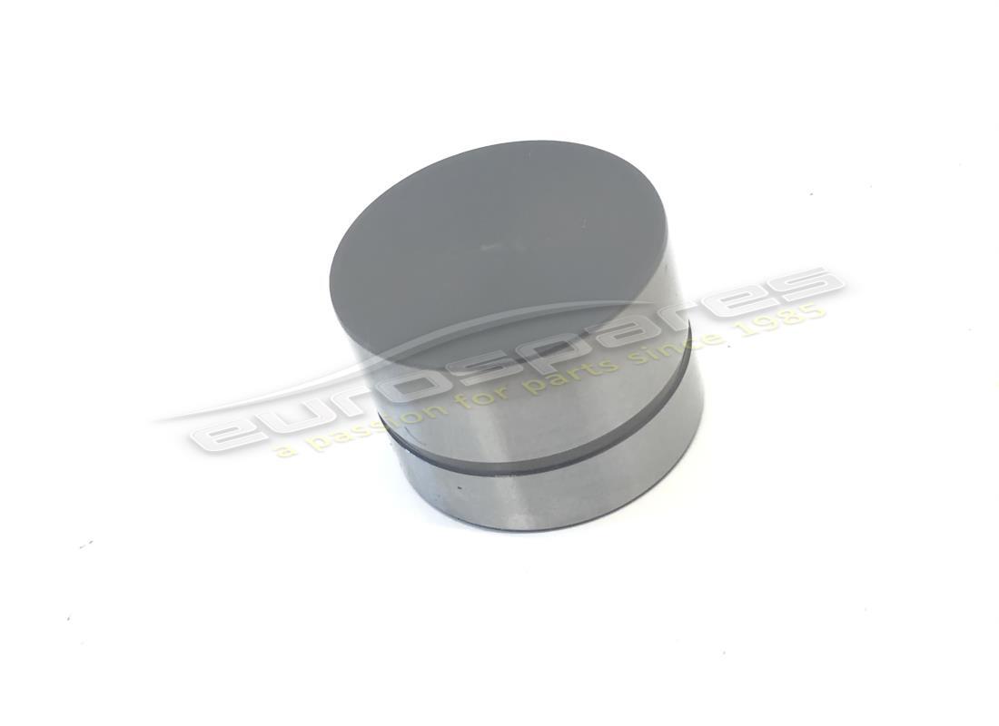 new maserati hydraulic tappet diam. 35- 8x 100. part number 194700 (1)