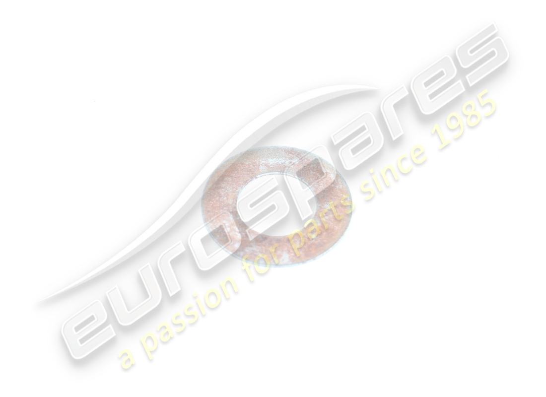 new ferrari washer. part number 101257 (1)