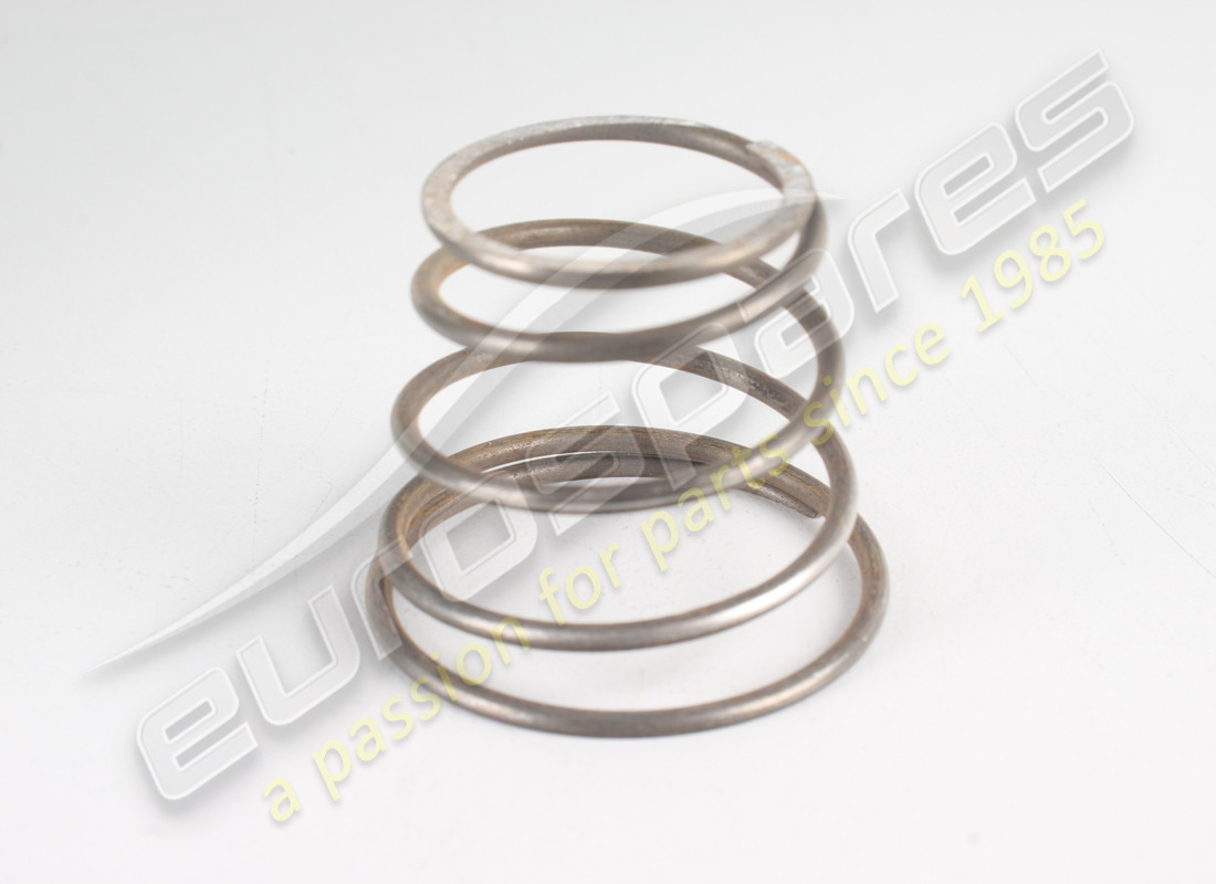 new ferrari spring. part number 100756 (1)