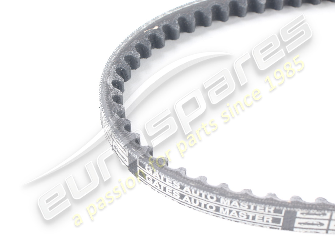 new ferrari alternator belt. part number 127132 (2)