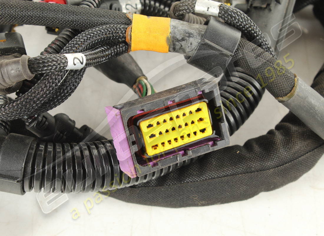 used ferrari rh injection wiring harness. part number 278891 (2)