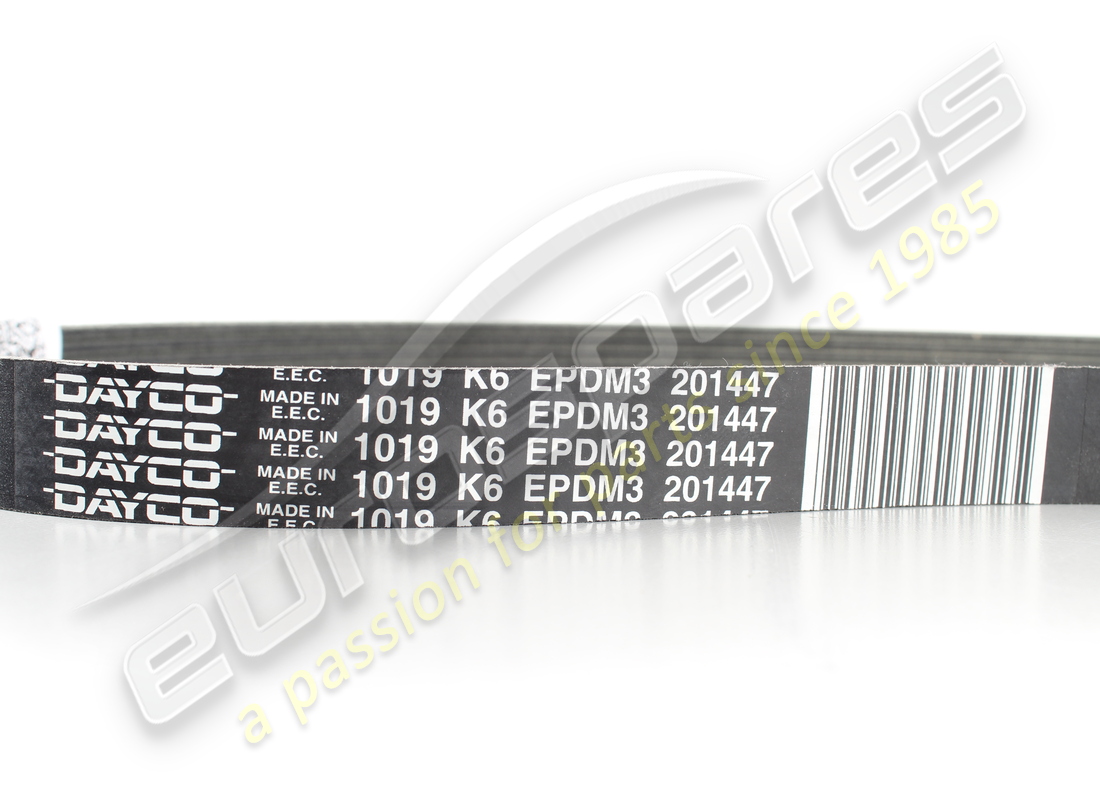 new ferrari belt for alternator and starter motor. part number 201447 (2)