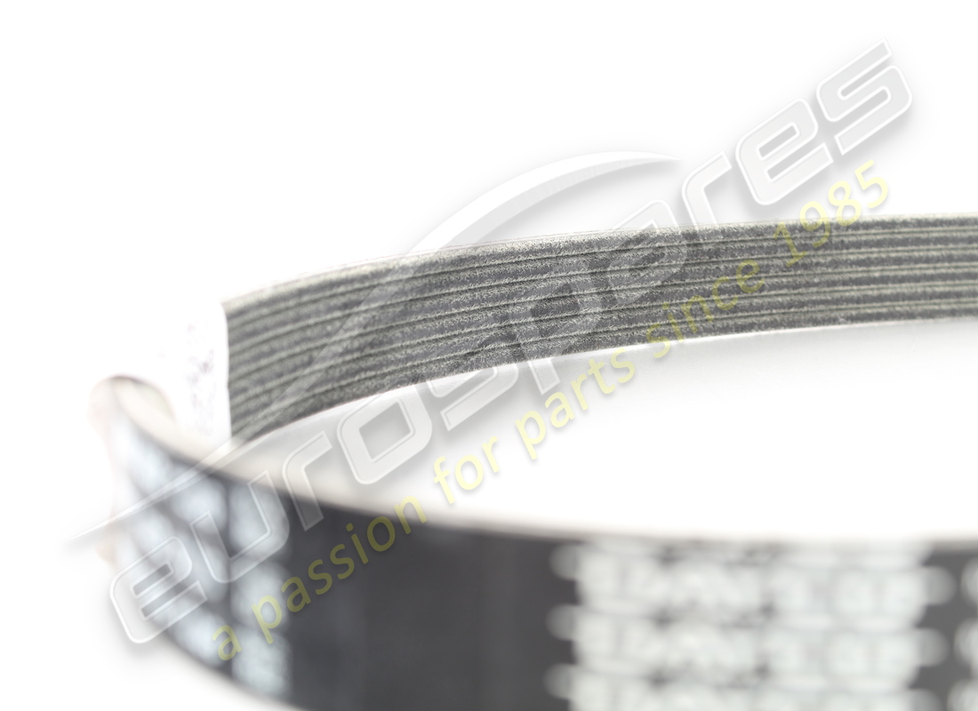 new ferrari belt for alternator and starter motor. part number 201447 (3)