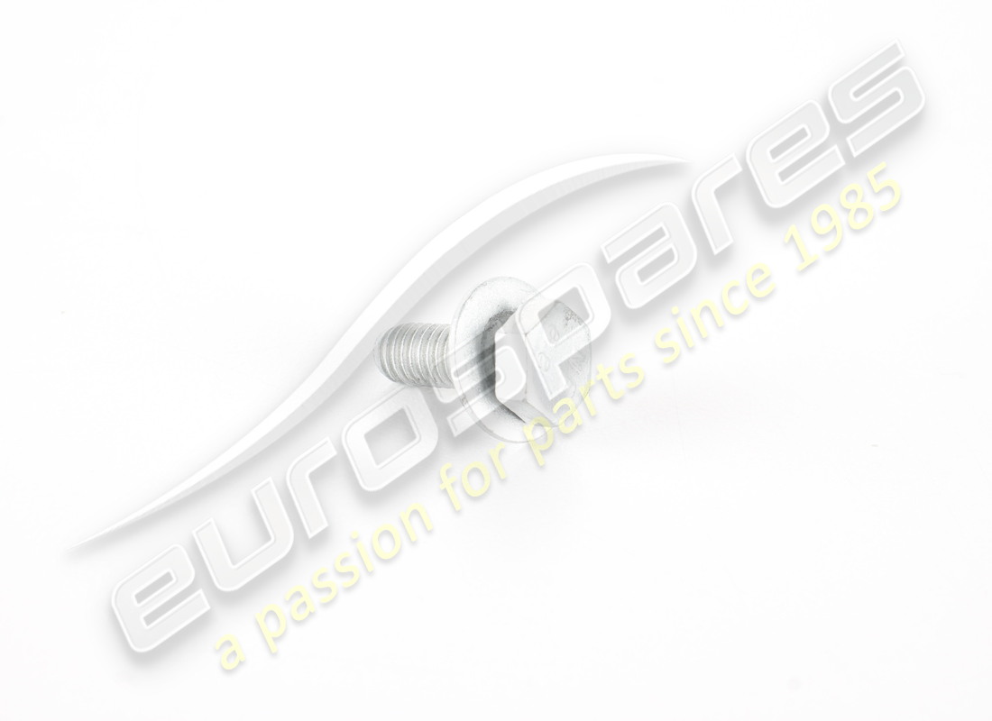 new ferrari screw with washer. part number 11625724 (1)