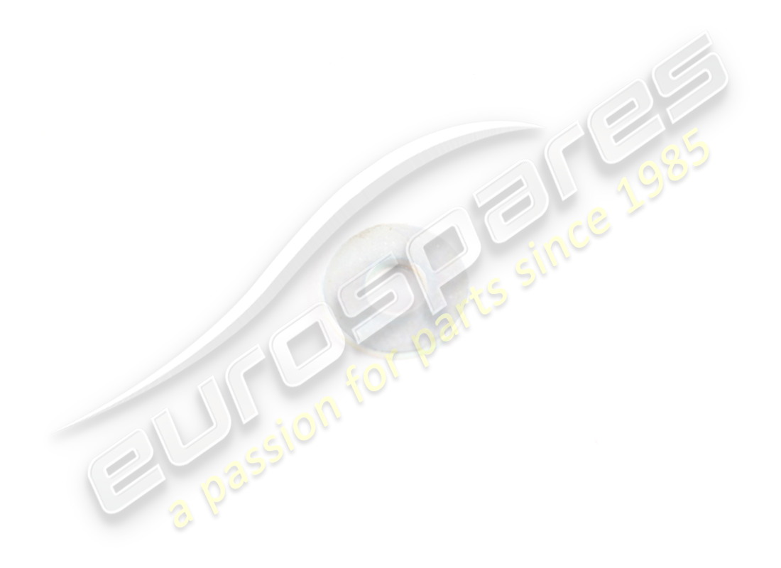 new ferrari washer. part number 12647601 (1)